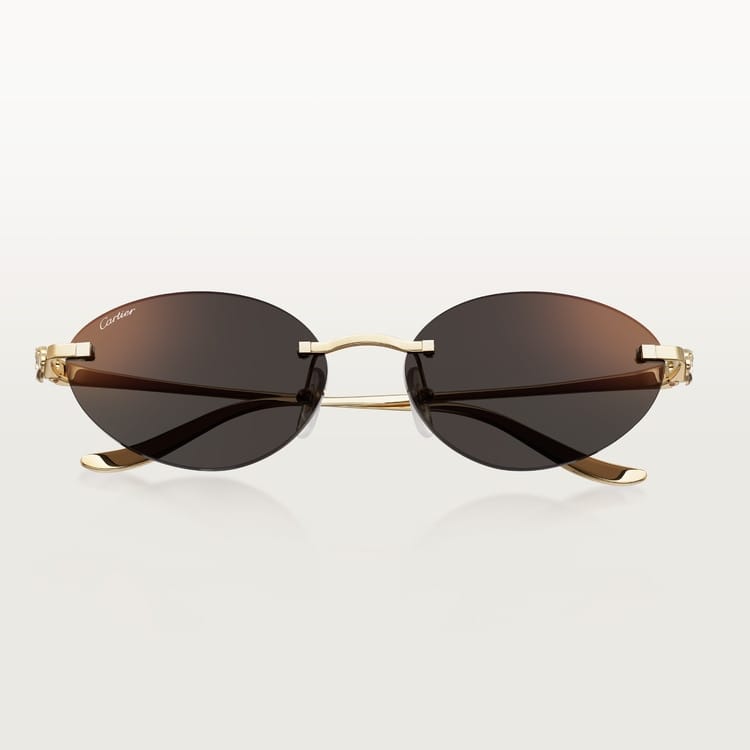 Sunglass